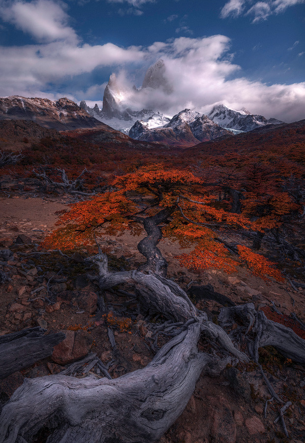 Ganadores The International Landscape Photographer of the Year 2018 ...