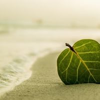 Cuando septiembre no es sinónimo de volver de vacaciones al trabajo 