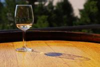Enoturismo: bodegas en Nueva Zelanda