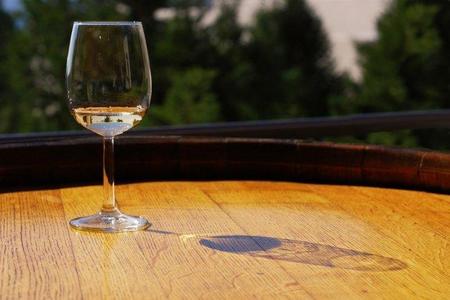 Enoturismo: bodegas en Nueva Zelanda
