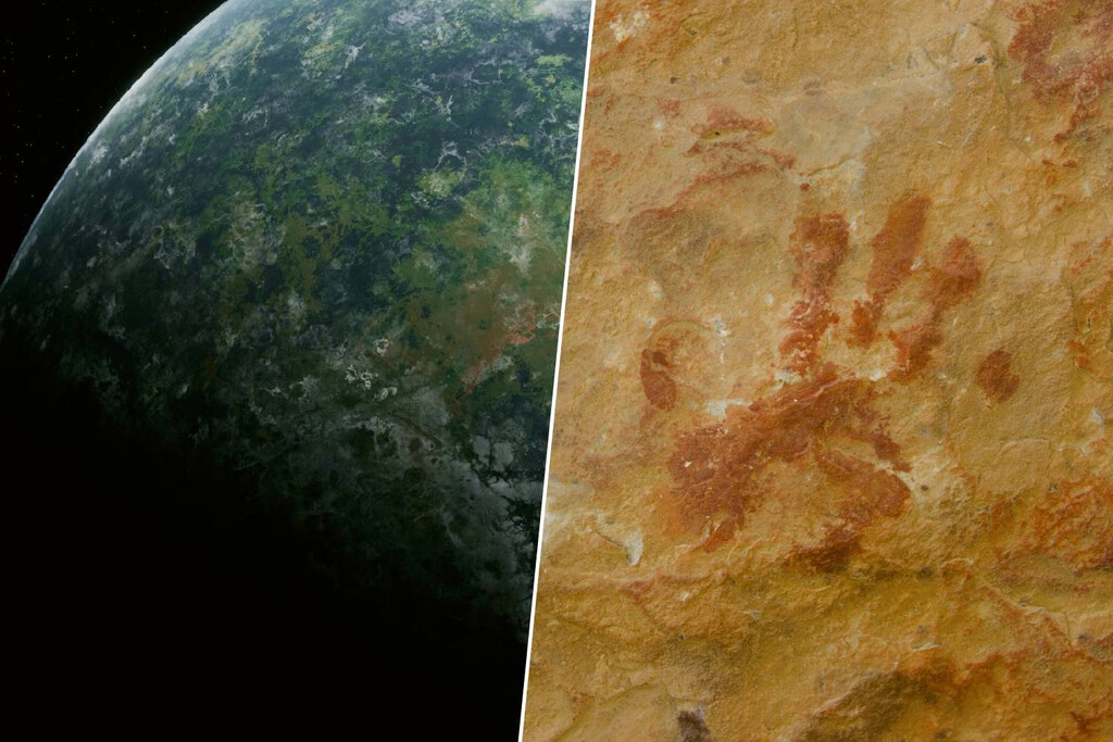 La química ha resuelto un gran misterio de nuestra humanidad: cuáles fueron los primeros animales en habitar la Tierra 
