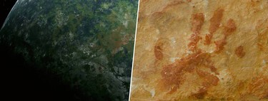 La química ha resuelto un gran misterio de nuestra humanidad: cuáles fueron los primeros animales en habitar la Tierra 