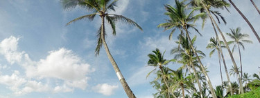 Nueve cuestiones a resolver en la pyme para irte de vacaciones tranquilo 