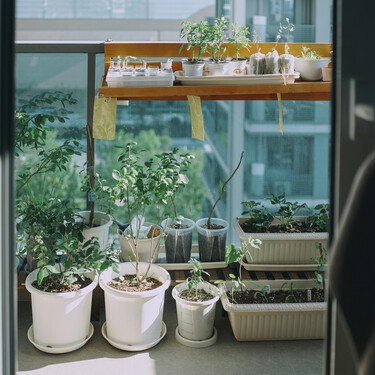 Lidl lanza el taburete plegable ideal para balcones pequeños: cuesta menos de 4 euros y también te podrás llevar a la playa