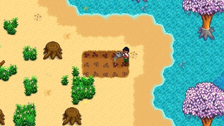 Playa Stardew
