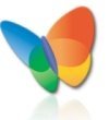 Usar Google como buscador en MSN Search