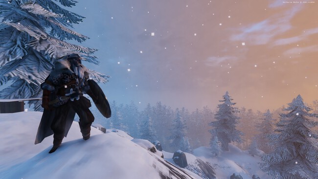 Valheim (Iron Gate)
