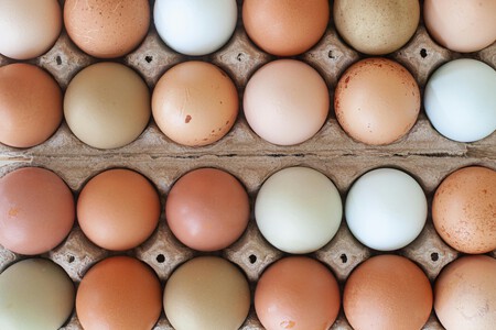 Pexels Kate L 2149358429 30805251