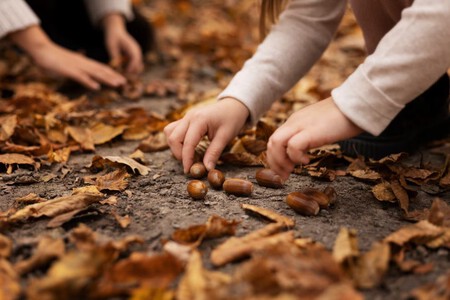 mesa sensorial montessori