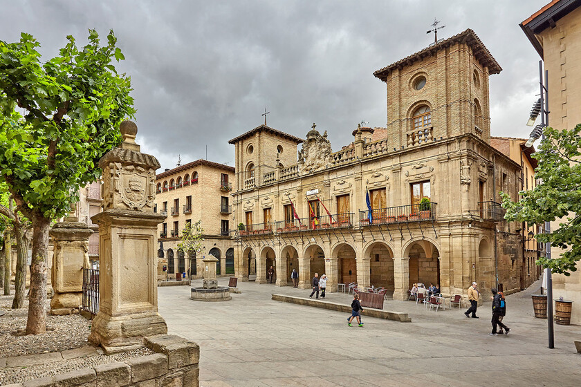 Viana Navarra