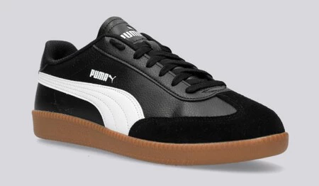 Puma2