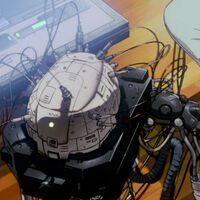 En la era de la Inteligencia Artificial y el Internet, lo único que no cambia es el cuerpo humano: este es el motivo por lo que que permanece sin evolucionar 