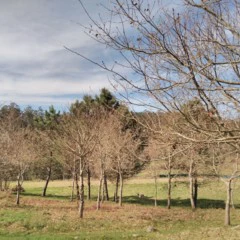 Foto 12 de 19 de la galería wiko-ridge-4g-camara en Xataka Android