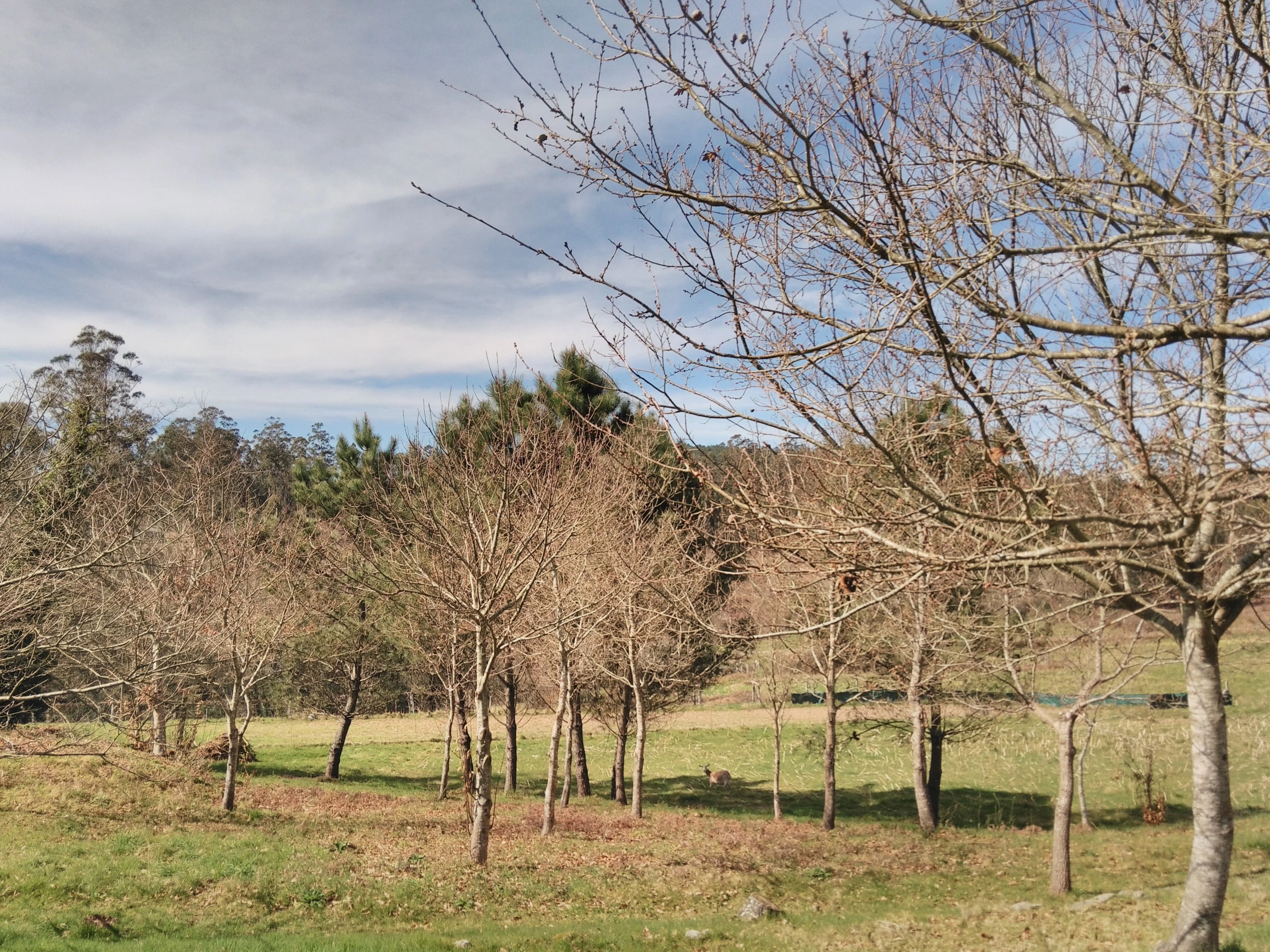 Foto de Wiko Ridge 4G, cámara (12/19)