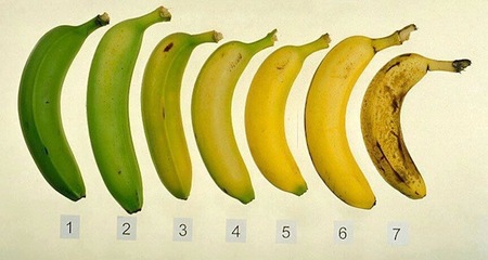 ¿Por qué se oscurece más deprisa la piel del plátano dentro de la nevera?