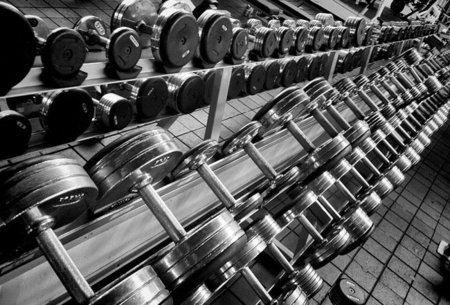 Ejercicios básicos de entrenamiento muscular: los biceps (II)