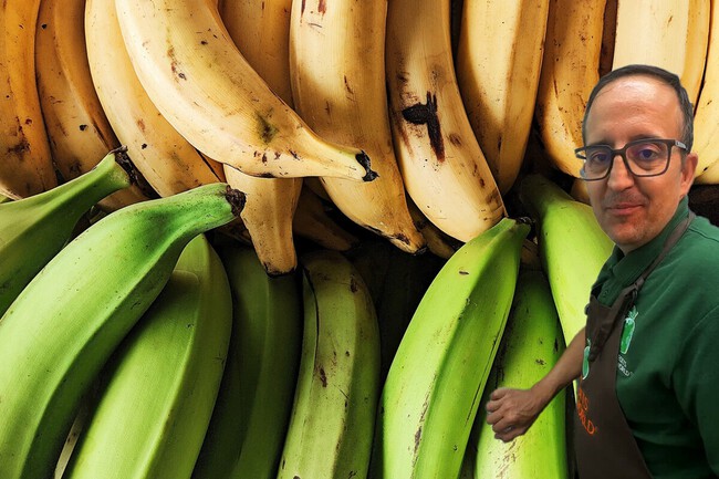 platanos