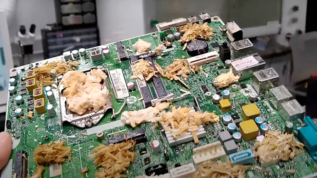 Pc Hongos