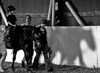 Beneficios de la hipoterapia para niños