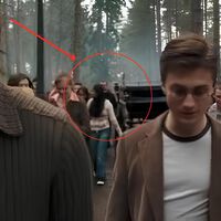 Si pones Harry Potter y la Orden del Fénix en el minuto 2:07:28, verás que hasta los alumnos de Hogwarts se olvidan de una curiosa criatura mágica