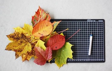 Convierte en monstruos las hojas secas para la noche de Halloween 