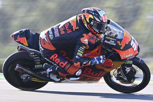 ¡Histórico! Pedro Acosta gana en Portimao para proclamarse campeón tras una cafrada de Darryn Binder
