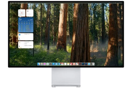 Sequoia Sequoia