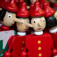 Un catedrático en psicobiología explica por qué mentimos: "el cerebro humano no busca la verdad, lo que busca es quedar bien" 