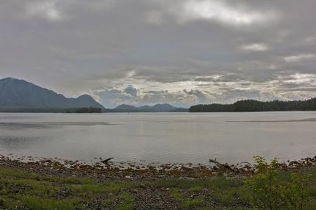 Tofino mud