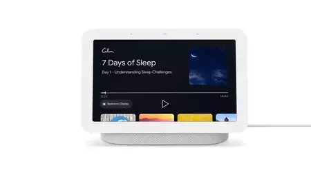 Google Nest Hub カーム