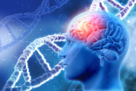 Nuestro cerebro necesita colesterol, no lo demonicemos: evidencia científica (y II)