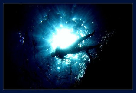 Opciones económicas para hacer fotos bajo el agua