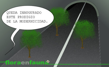 El pive cuenta marchas para dormir, subido en una palmera. La semana en el retrovisor XXI
