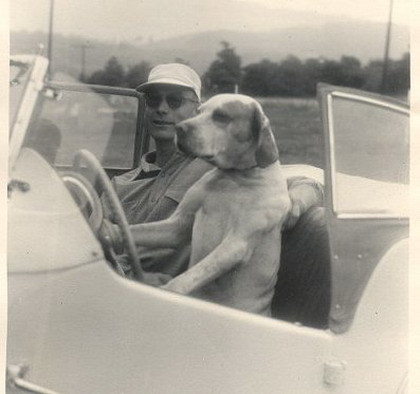 Animales gato perro conduciendo