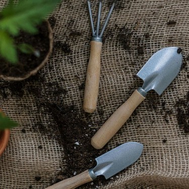 Qué plantar en abril para acertar seguro: cultivos fáciles que crecen rápido y sin complicaciones 