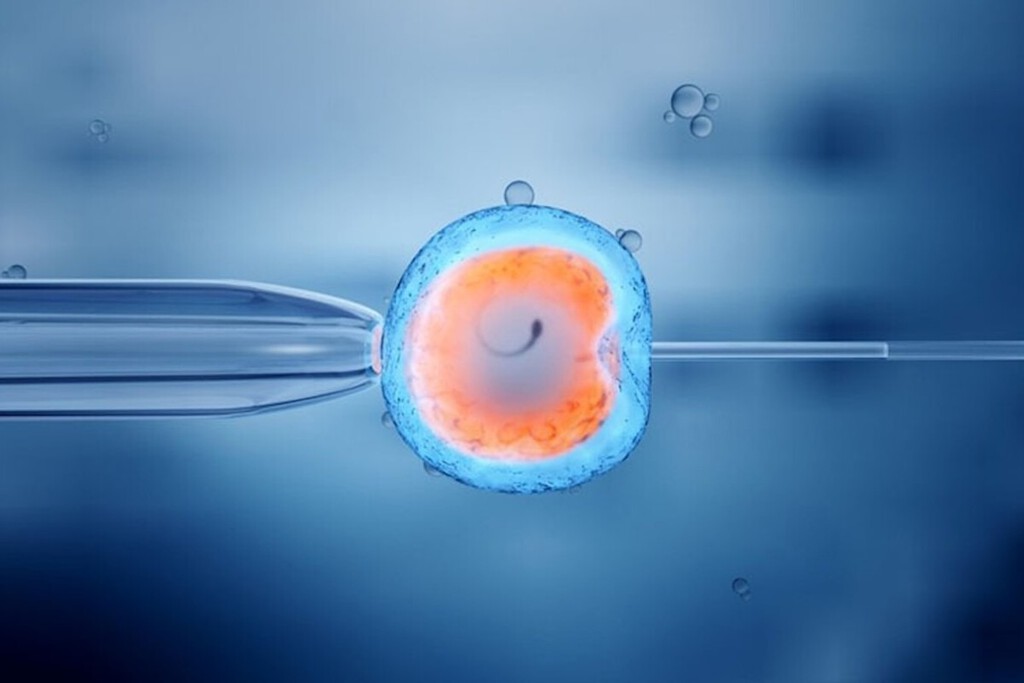 No sabíamos casi nada de la "caja negra" de la vida, el momento inicial de la fecundación: eso se ha terminado