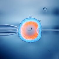 No sabíamos casi nada de la "caja negra" de la vida, el momento inicial de la fecundación: eso se ha terminado