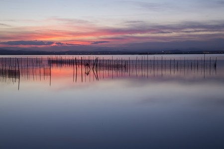 valencia albufera
