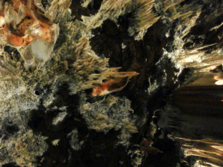 Cuevass5