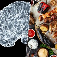 Estamos descubriendo cómo el cerebro nos "hackea" para darnos hambre. Y es un paso clave en la carrera hacia el adelgazamiento