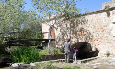 Albufera Mallorca con niños