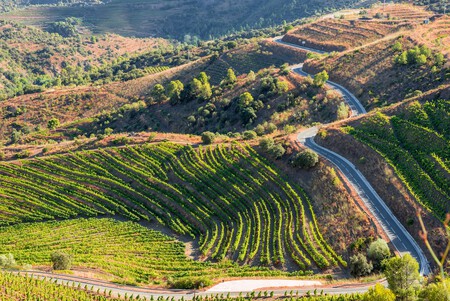 Vinedos Priorat