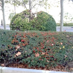 Foto 5 de 7 de la galería fotos-vernee-mars en Xataka Android