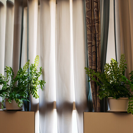 Cortinas y plantas