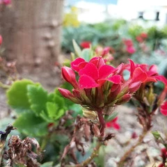 Foto 37 de 154 de la galería fotos-tomadas-con-el-honor-10-lite en Xataka Android