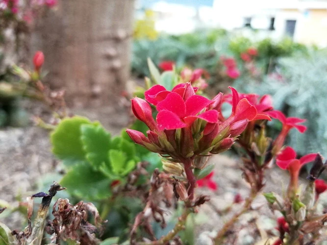 Foto de Fotos tomadas con el Honor 10 Lite (37/154)