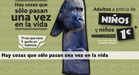 "Hay cosas que solo pasan una vez en la vida" y Bioparc Valencia lo celebra con entradas infantiles a 1 euro