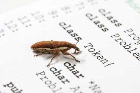 La importancia de escribir correctos informes de bugs