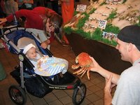 ¿Pueden comer los niños gambas, cangrejos y otros crustáceos?