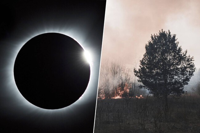 Eclipse Incendio Forestal